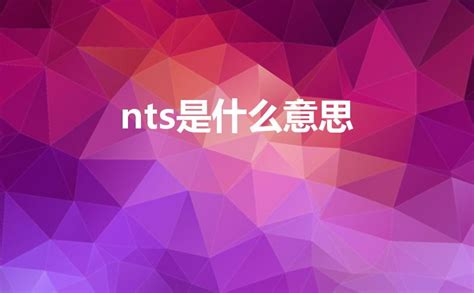 nts意思|NTS（网络测试系统缩写）